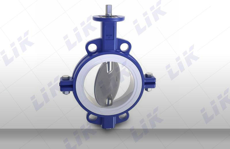 �M���r�����y